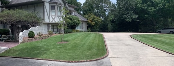 Freshly mowed lawn