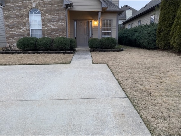 Trimmed bushes